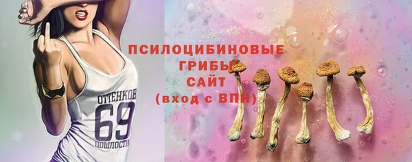mdma Няндома