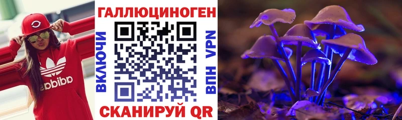 сайты даркнета клад  Шатура  Галлюциногенные грибы MAGIC MUSHROOMS 