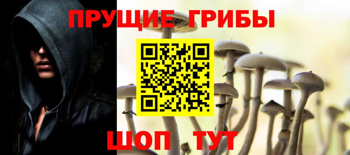 Псилоцибиновые грибы мухоморы Шатура