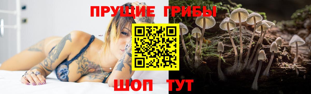 Шатура  Галлюциногенные грибы прущие грибы  Вход с VPN  купить закладку  Псилоцибиновые грибы Psilocybe 
