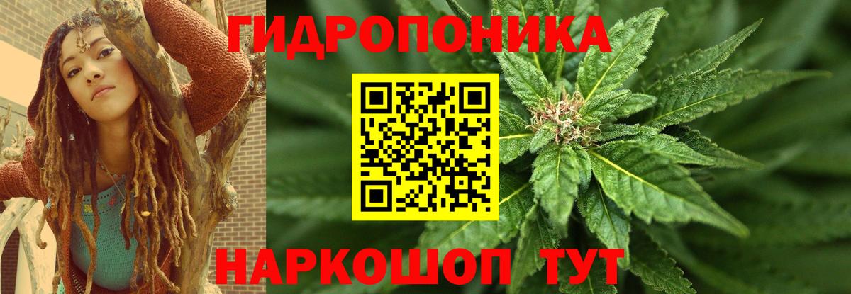 Канабис White Widow  Вход с VPN  Шатура  Бошки Шишки план  МАРИХУАНА THC 21% 